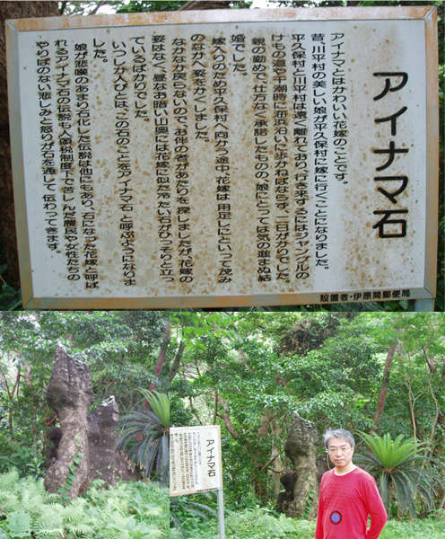 石垣島・川平の宿泊 Hills Yamabare アイナマ石