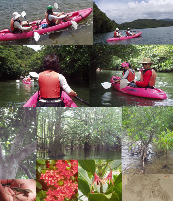石垣島・川平の宿泊なら Hills Yamabare 西表島 カヌー