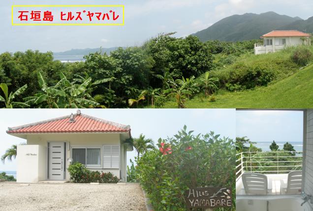 HillsYamabare　東シナ海　大自然　サンゴ礁　海眺望