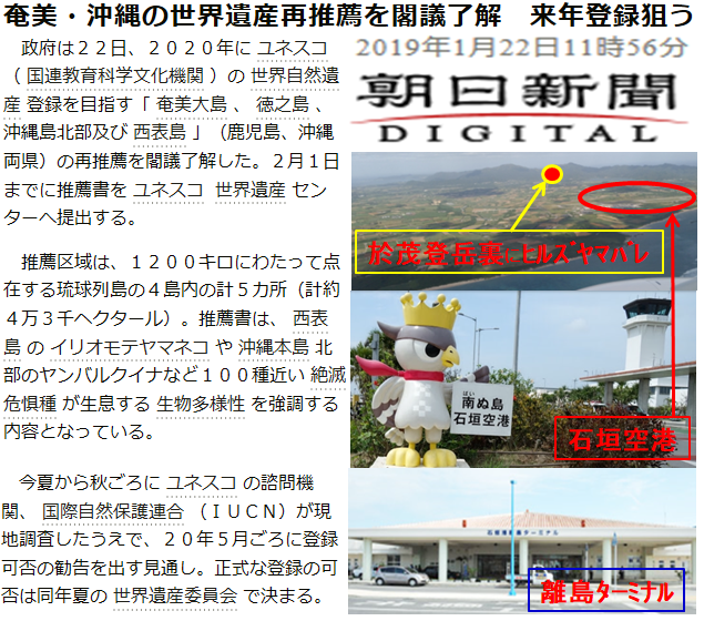 ﾋﾙｽﾞﾔﾏﾊﾞﾚ　西表島　石垣島　八重山諸島　離島ターミナル　石垣空港