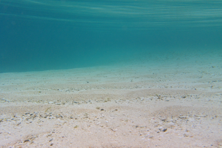 米原　ビーチ　白　砂　シュノーケル　エントリー